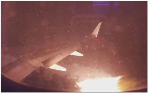 Birdstrike involving a Boeing 737.